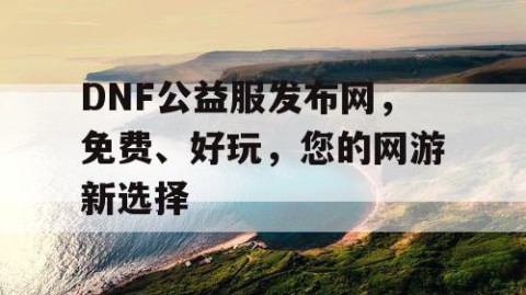 DNF公益服发布网，免费、好玩，您的网游新选择