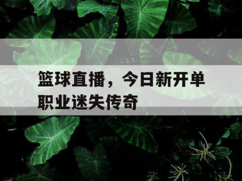 篮球直播，今日新开单职业迷失传奇
