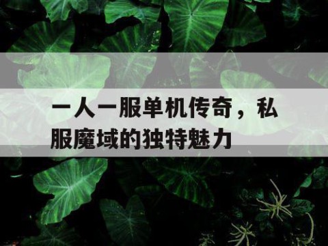 一人一服单机传奇，私服魔域的独特魅力