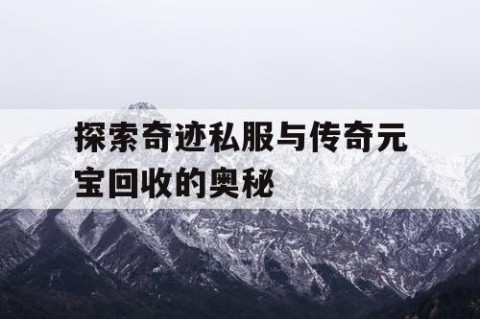 探索奇迹私服与传奇元宝回收的奥秘