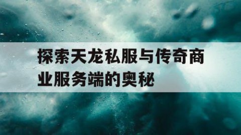 探索天龙私服与传奇商业服务端的奥秘