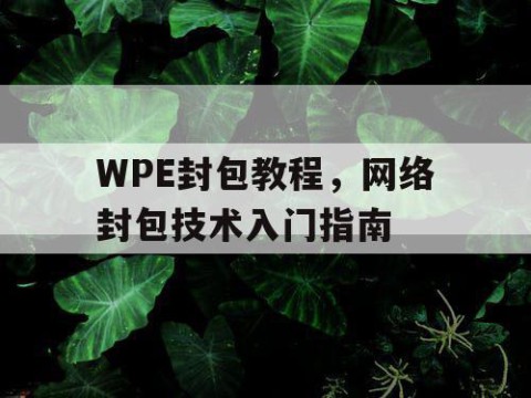 WPE封包教程，网络封包技术入门指南