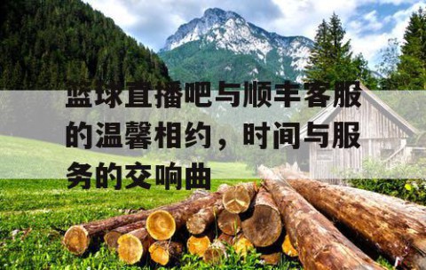 篮球直播吧与顺丰客服的温馨相约，时间与服务的交响曲