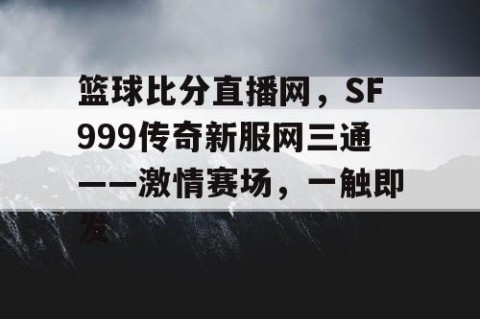 篮球比分直播网，SF999传奇新服网三通——激情赛场，一触即发