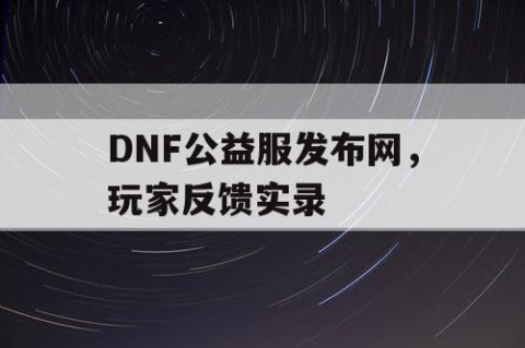 DNF公益服发布网，玩家反馈实录