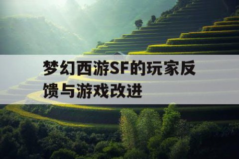 梦幻西游SF的玩家反馈与游戏改进