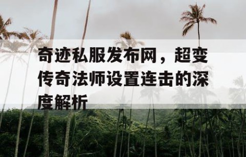 奇迹私服发布网，超变传奇法师设置连击的深度解析