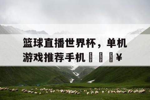 篮球直播世界杯，单机游戏推荐手机🔥