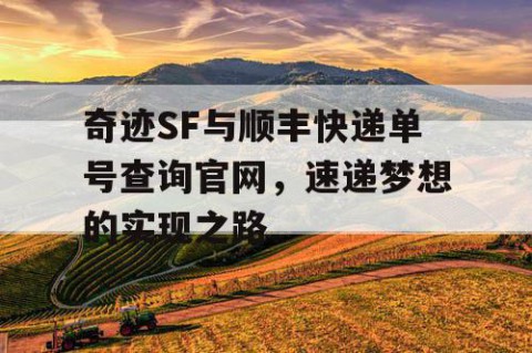 奇迹SF与顺丰快递单号查询官网，速递梦想的实现之路