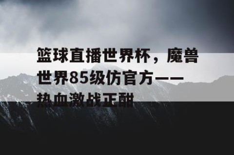 篮球直播世界杯,魔兽世界85级仿官方——热血激战正酣
