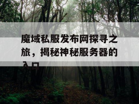 魔域私服发布网探寻之旅，揭秘神秘服务器的入口