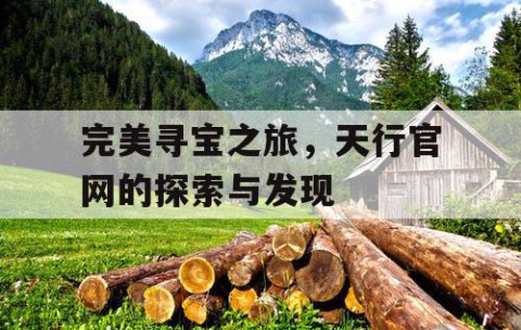 完美寻宝之旅，天行官网的探索与发现