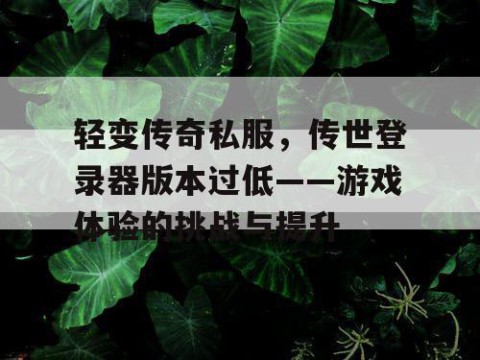 轻变传奇私服，传世登录器版本过低——游戏体验的挑战与提升