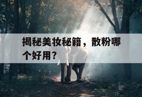 揭秘美妆秘籍，散粉哪个好用？