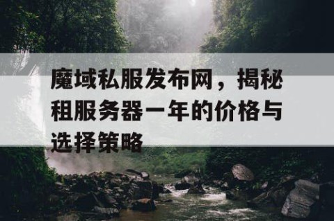 魔域私服发布网，揭秘租服务器一年的价格与选择策略