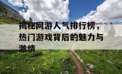 揭秘网游人气排行榜，热门游戏背后的魅力与激情