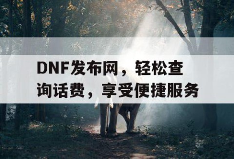 DNF发布网，轻松查询话费，享受便捷服务