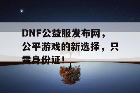 DNF公益服发布网，公平游戏的新选择，只需身份证！