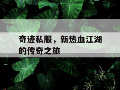 奇迹私服，新热血江湖的传奇之旅