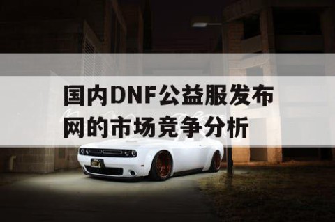 国内DNF公益服发布网的市场竞争分析