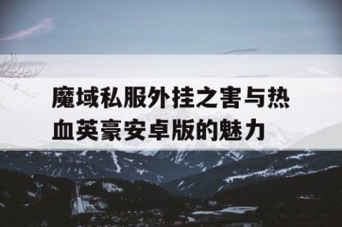 魔域私服外挂之害与热血英豪安卓版的魅力