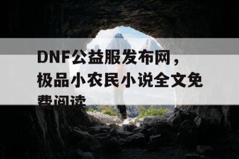 DNF公益服发布网，极品小农民小说全文免费阅读