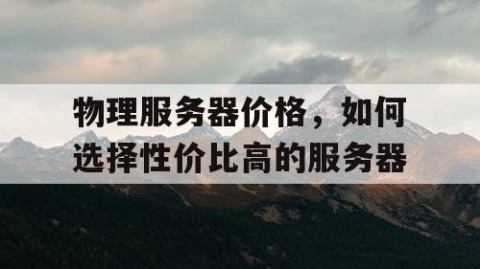物理服务器价格，如何选择性价比高的服务器
