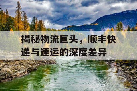 揭秘物流巨头，顺丰快递与速运的深度差异