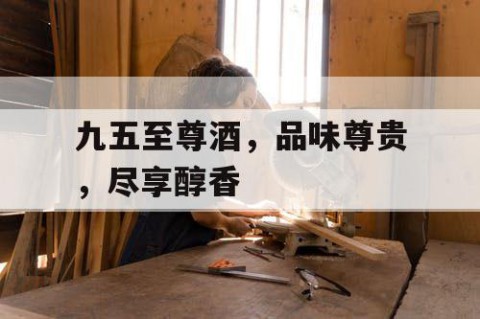 九五至尊酒，品味尊贵，尽享醇香