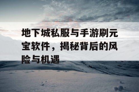 地下城私服与手游刷元宝软件，揭秘背后的风险与机遇