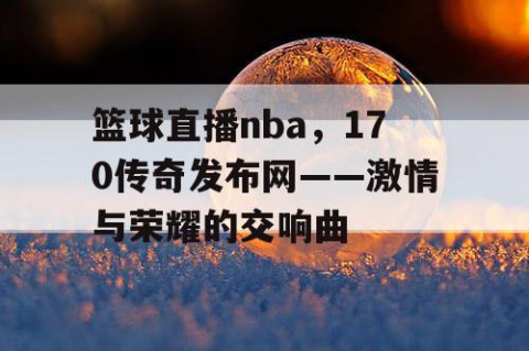 篮球直播nba，170传奇发布网——激情与荣耀的交响曲