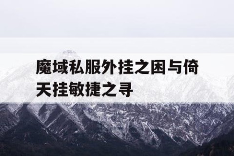 魔域私服外挂之困与倚天挂敏捷之寻
