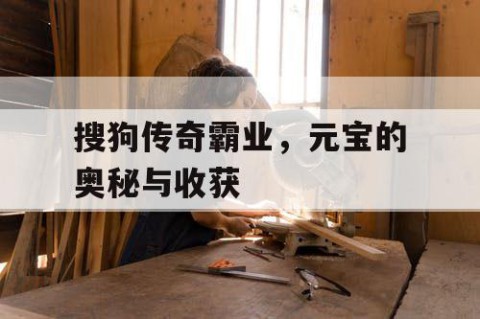 搜狗传奇霸业，元宝的奥秘与收获