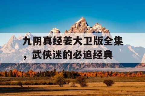 九阴真经姜大卫版全集，武侠迷的必追经典