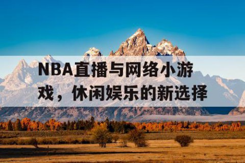 NBA直播与网络小游戏，休闲娱乐的新选择