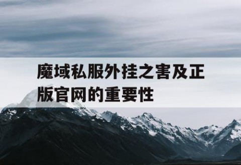 魔域私服外挂之害及正版官网的重要性