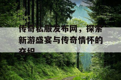 传奇私服发布网，探索新游盛宴与传奇情怀的交织