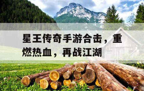 星王传奇手游合击，重燃热血，再战江湖