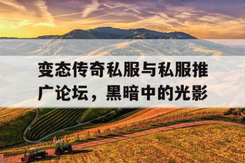 变态传奇私服与私服推广论坛，黑暗中的光影