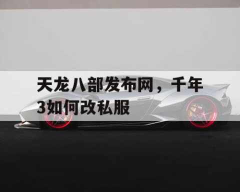 天龙八部发布网，千年3如何改私服
