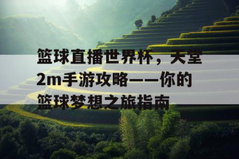 篮球直播世界杯，天堂2m手游攻略——你的篮球梦想之旅指南
