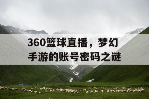 360篮球直播,梦幻手游的账号密码之谜