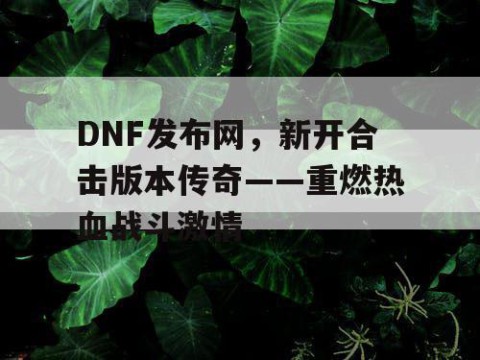 DNF发布网，新开合击版本传奇——重燃热血战斗激情