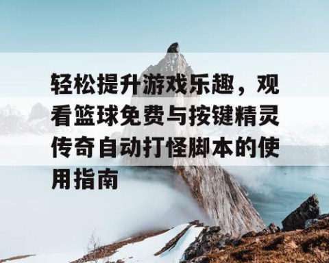 轻松提升游戏乐趣，观看篮球免费与按键精灵传奇自动打怪脚本的使用指南