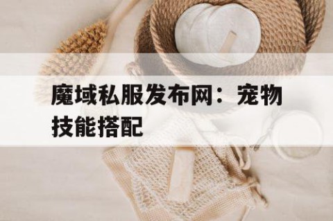 魔域私服发布网：宠物技能搭配