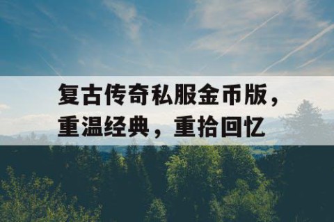 复古传奇私服金币版，重温经典，重拾回忆