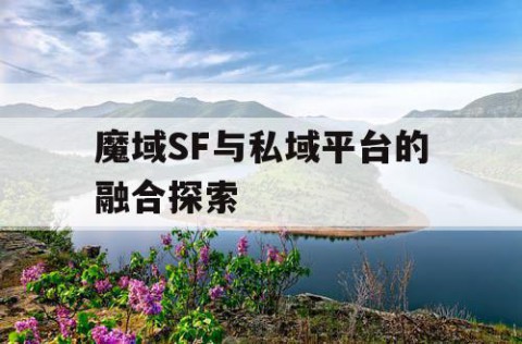 魔域SF与私域平台的融合探索