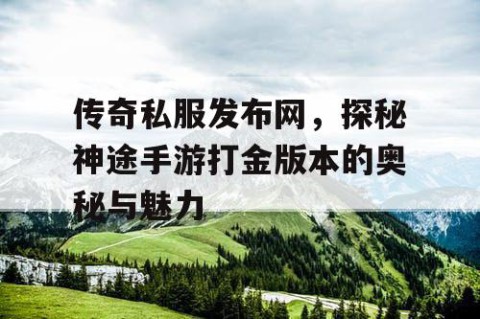 传奇私服发布网，探秘神途手游打金版本的奥秘与魅力