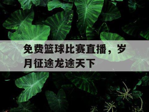 免费篮球比赛直播，岁月征途龙途天下
