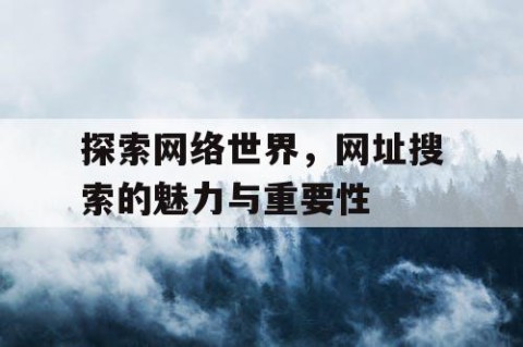 探索网络世界，网址搜索的魅力与重要性